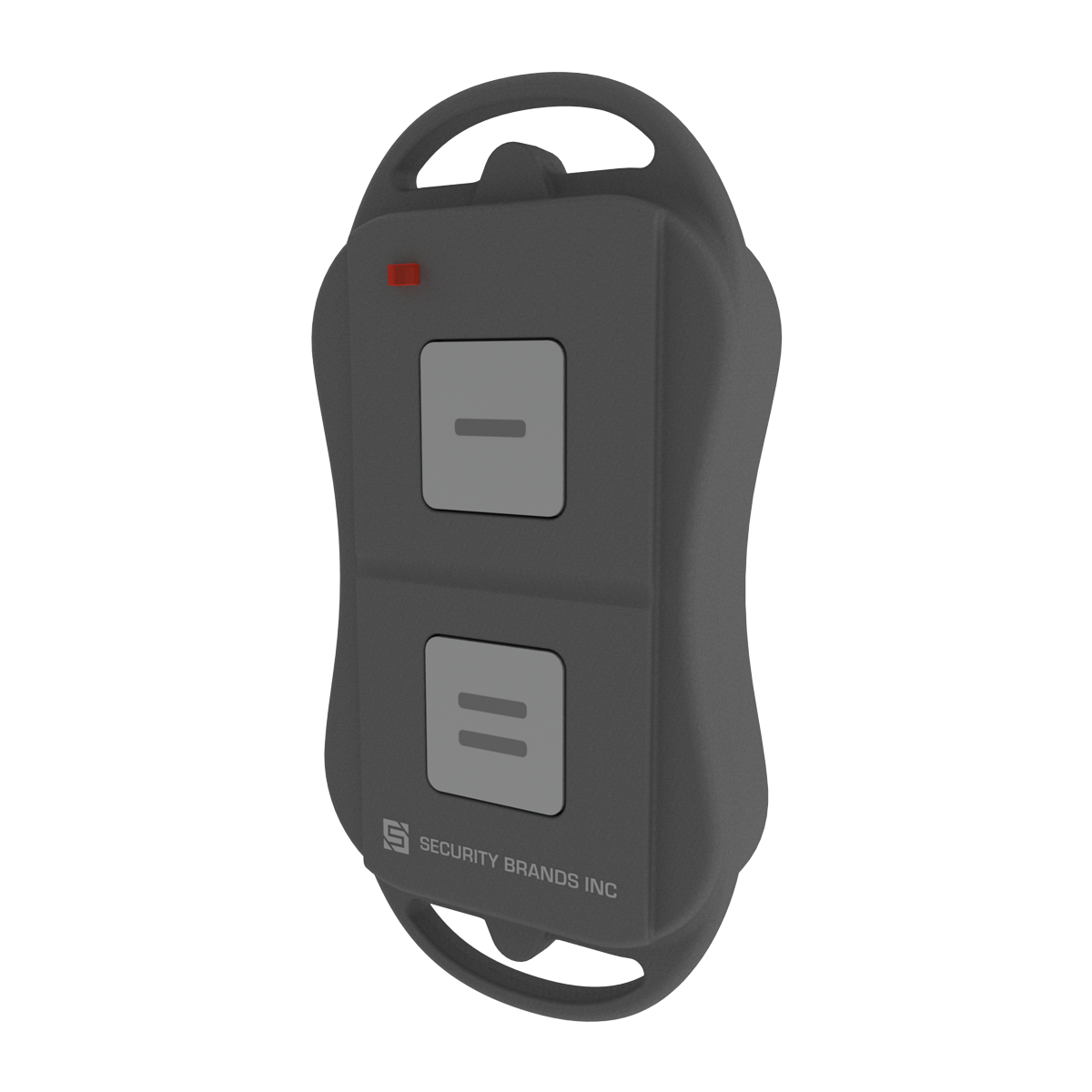 Remote 300 - 300-MHz Remote