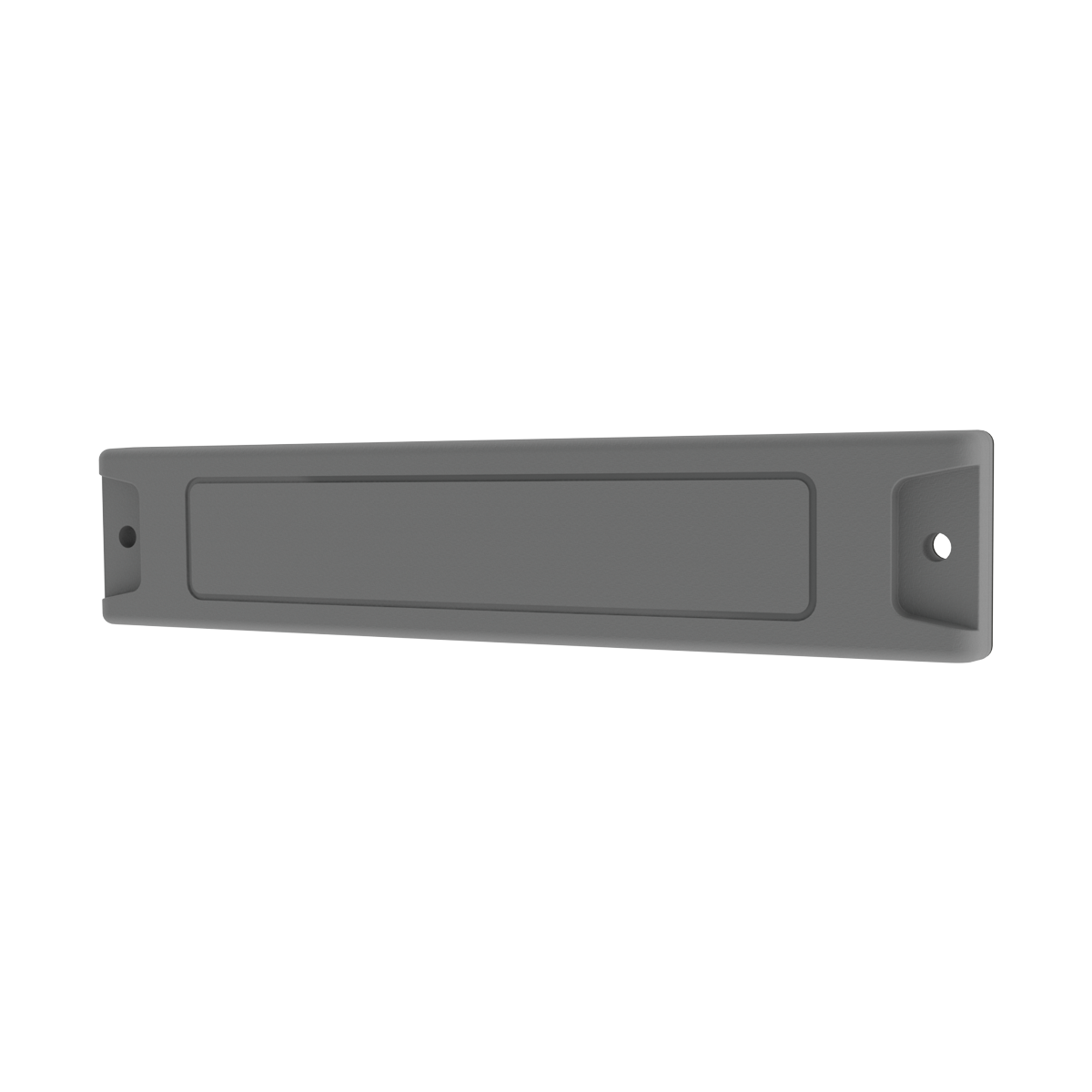 SecurePass L Tag